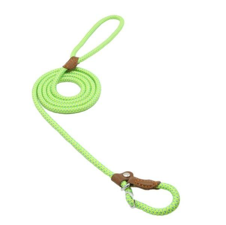 Nylon Pup Collar and Leash Set