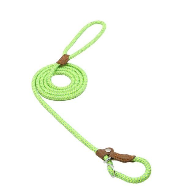 Nylon Pup Collar and Leash Set