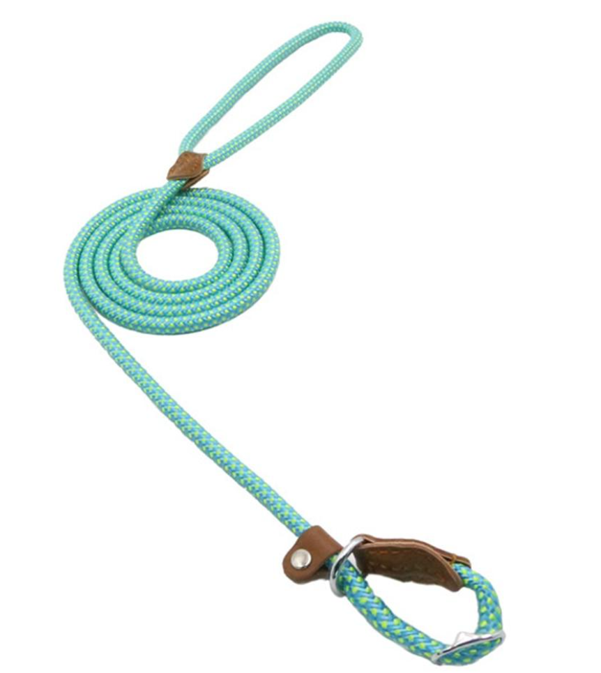 Nylon Pup Collar and Leash Set