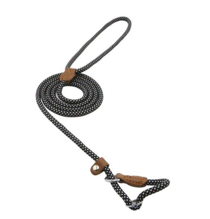 Nylon Pup Collar and Leash Set