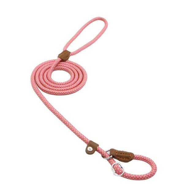 Nylon Pup Collar and Leash Set