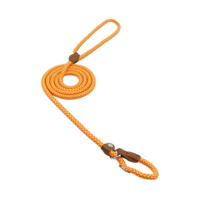 Nylon Pup Collar and Leash Set