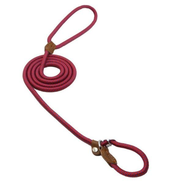 Nylon Pup Collar and Leash Set