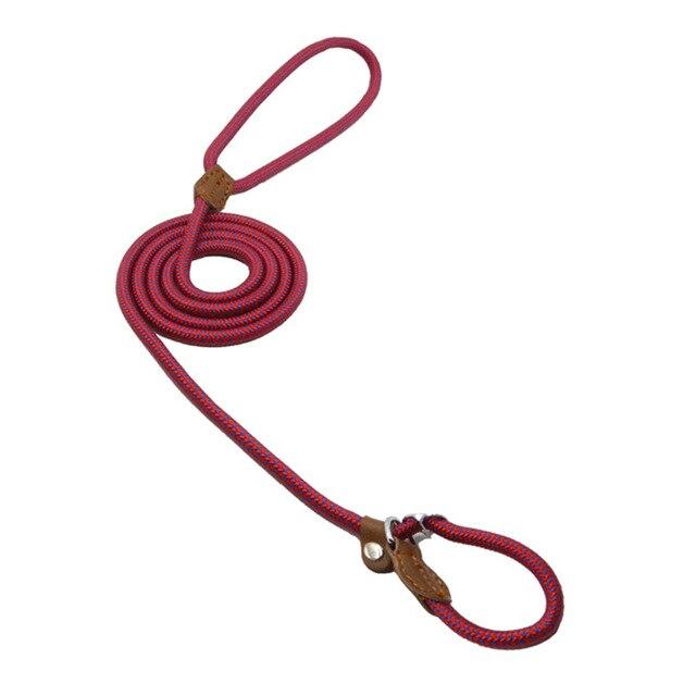Nylon Pup Collar and Leash Set