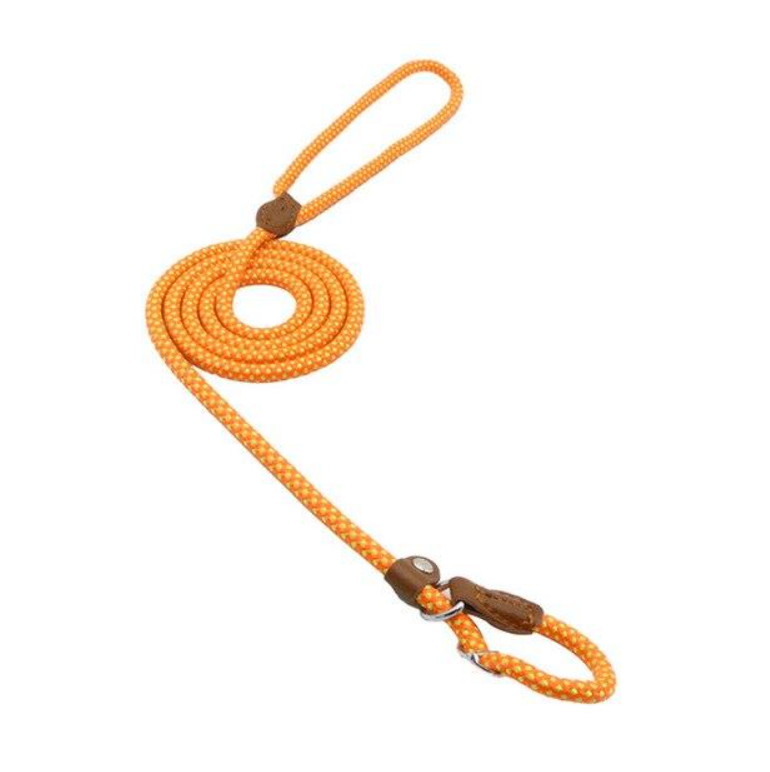 Nylon Pup Collar and Leash Set