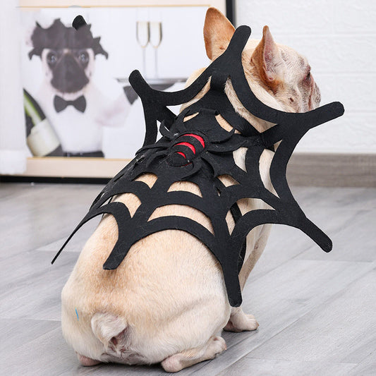 Halloween Cat and Dog Spider Web Costume