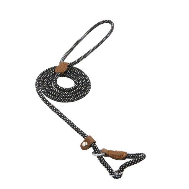 Nylon Pup Collar and Leash Set