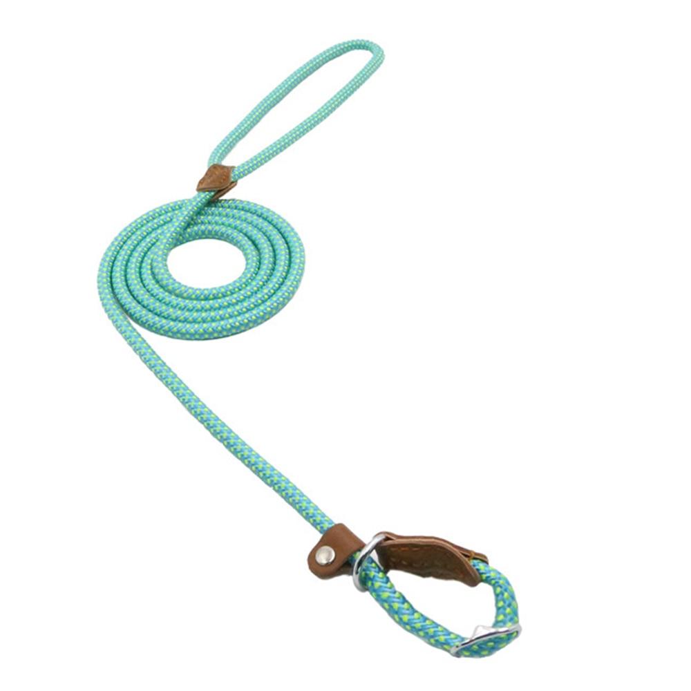 Nylon Pup Collar and Leash Set