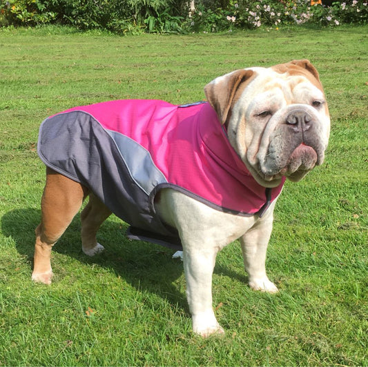 Waterproof and Insulated Outdoor Pet Raincoat Jacket