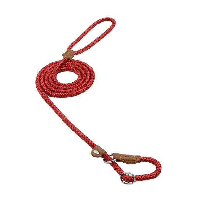 Nylon Pup Collar and Leash Set